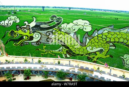 Un 3D di riso paddy pittura chiamato 'Soaring Dragon nel campo " è sul display in risaie in Shenyang City, a nord-est della Cina di provincia di Liaoning, 22 Foto Stock