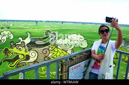 Un 3D di riso paddy pittura chiamato 'Soaring Dragon nel campo " è sul display in risaie in Shenyang City, a nord-est della Cina di provincia di Liaoning, 22 Foto Stock