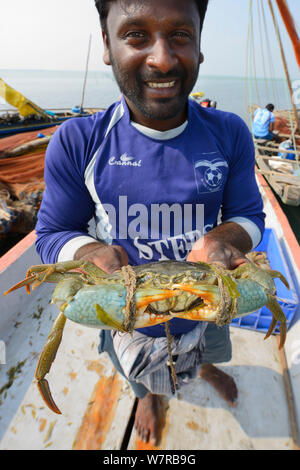 Pescatore con polpa di granchio, Pulicat Lago, nello Stato del Tamil Nadu, India, Gennaio 2013. Foto Stock