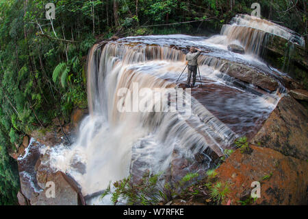 Alex Hyde fotografare Gulik cade. Il bordo del sud dell'altopiano, Maliau Basin. Sabah, Borneo. Foto Stock