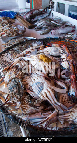 Vari i crostacei in vendita nel pesce souk (mercati) in Sharjah Emirati Arabi Uniti. Aprile 2013 Foto Stock