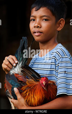 Ragazzo con la Rooster pet, Jao Isola, Danajon banca centrale, Visayas, Filippine, Aprile Foto Stock