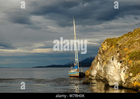 Barca a vela ormeggiata nel Canale di Beagle (chiamato dopo la visita della HMS Beagle e Darwin), Tierra del Fuego, Argentina. Foto Stock