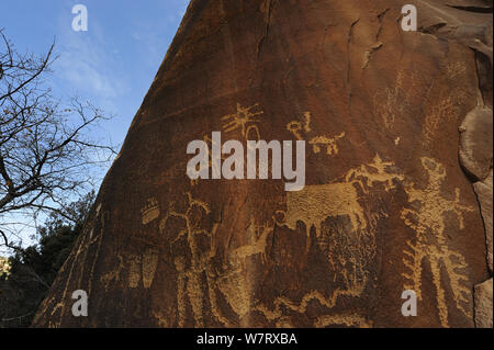 Newspaper Rock, pannello petroglyph incisi nella pietra arenaria, Indian Creek, Utah, USA, dicembre 2012. Foto Stock