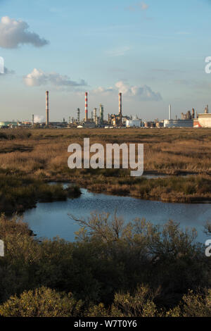 Fos-sur-Mer complessi industriali e salt marsh, Camargue, Francia, dicembre 2012. Foto Stock