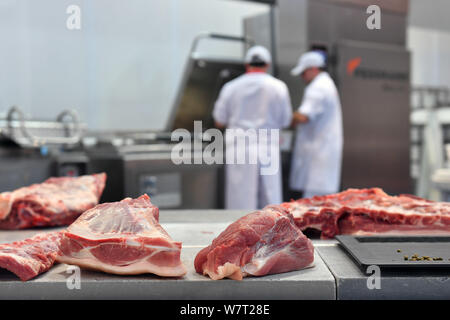 Monaco di Baviera, Deutschland. 07 Ago, 2019. La carne più costosa C IVA dovrebbe salire al 19%! Archivio fotografico: Butcher al lavoro. I prodotti a base di carne, artigianato, macellai, macellai, carne, professioni di apprendistato, apprendistato, craft, macelleria, macellaio, maiale, in occasione dell'artigianato internazionale Fair 2017 a Monaco di Baviera il 09.03.2017. | Utilizzo di credito in tutto il mondo: dpa/Alamy Live News Foto Stock