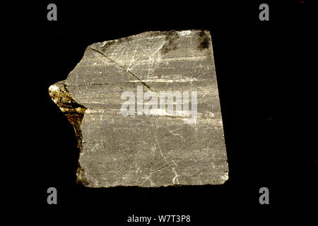 Amphibolite, una roccia metamorfica da Firenze County, Wisconsin, Stati Uniti d'America. Foto Stock