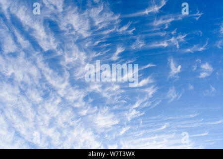 Skyscape di Cirrus nuvole contro un cielo blu Foto Stock