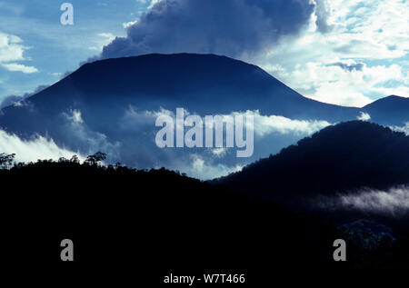 Vulcano Nyiragongo - smoking vulcano attivo nel settore meridionale del Parco nazionale di Virunga. Uno dei numerosi vulcani attivi in &#39;il massiccio del Virunga gamma vulcano&#39;, Repubblica Democratica del Congo. Settembre 1993 Foto Stock