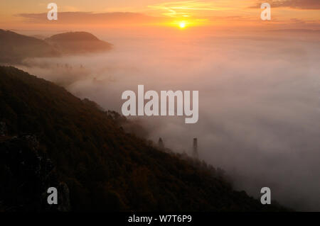 Alba luce su un bosco misto in autunno. Kinnoull Hill parco boschivo, Perthshire Scozia, Ottobre. Foto Stock