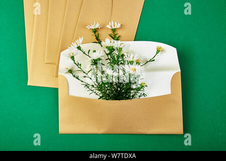 Busta in oro con una molla floreale su sfondo verde. Appartamento laico, vista dall'alto. Aperta la busta. Messaggio di saluto festivo concept Foto Stock