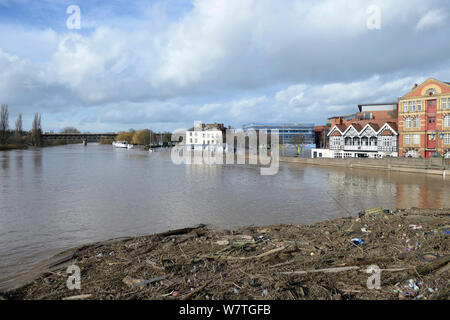 Paesaggio dal monte del ponte di Worcester durante la registrazione ultime inondazioni, con lavato fino detriti, Worcestershire, England, Regno Unito, 13 febbraio 2014. Foto Stock