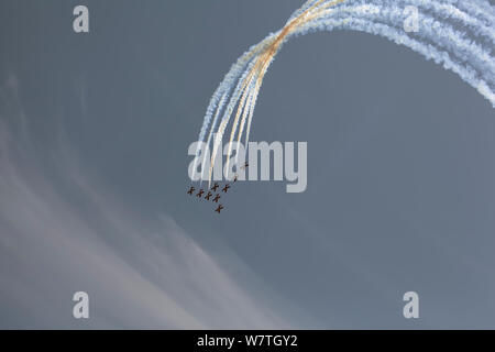 Snowbirds RCAF Boundary Bay BC Foto Stock