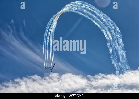 Snowbirds RCAF Boundary Bay BC Foto Stock