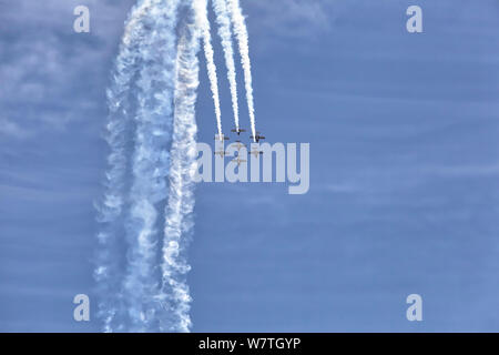 Snowbirds RCAF Boundary Bay BC Foto Stock