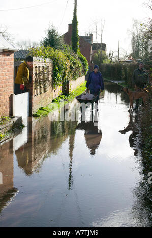 Donna con la carriola di sacchi di sabbia per impedire allagamento a casa durante febbraio 2014 inondazioni. Upton su Severn, Worcestershire, Inghilterra, Regno Unito, 8 febbraio 2014. Foto Stock