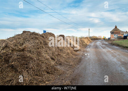 Pile di wrack di marea e detriti accanto a una strada cancellati dopo il 6 dicembre east coast picchi di marea, Salthouse, Norfolk, Inghilterra, Regno Unito, dicembre 2013. Foto Stock
