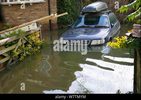 A filamento auto nel febbraio 2014 le inondazioni del fiume Tamigi, Sunbury on Thames Surrey, Inghilterra, Regno Unito, 15 febbraio 2014. Foto Stock