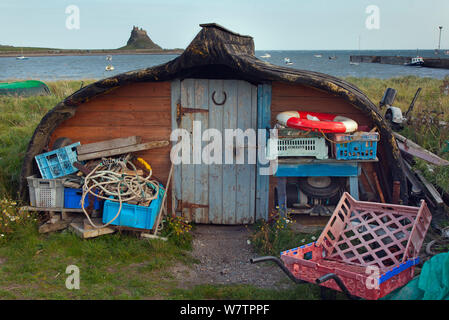Fisherman's shed realizzato dalla vecchia barca capovolta con Lindisfarne Castle in distanza, Lindisfarne Isola, Northumberland , UK, Octobber 2013. Foto Stock