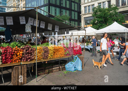 Mercato di New York, vista in estate del normale mercato degli agricoltori tenutasi a Union Square, Manhattan, New York City, Stati Uniti d'America. Foto Stock