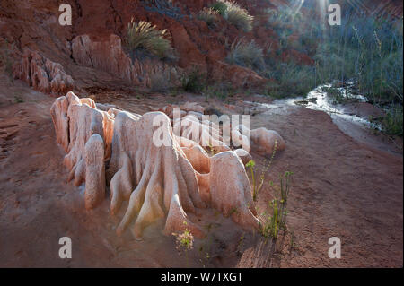 Rosso - Tsingys red laterite formazione di roccia, Madagascar, Giugno 2013. Foto Stock