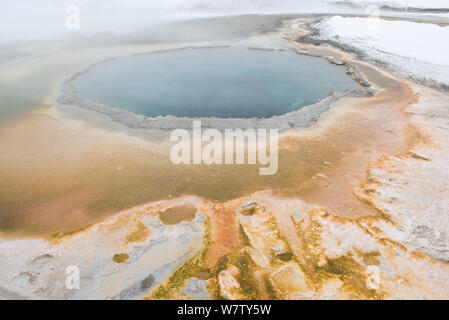 Crested Pool in Upper Geyser Basin, il Parco Nazionale di Yellowstone, Wyoming negli Stati Uniti, gennaio 2013. Foto Stock