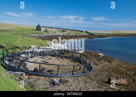 Scartato allevamento di salmoni involucro lavato fino sulla spiaggia remota. Burravoe, Shetland Scozia, Regno Unito, maggio. Foto Stock