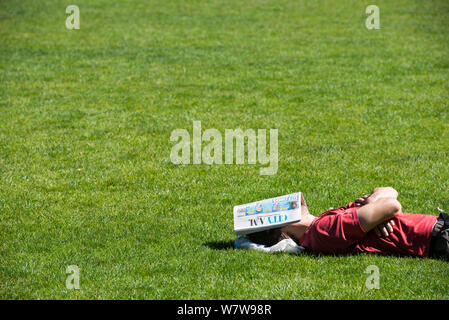 Un uomo trova un po' di pace e tranquillità nel centro di London Hyde Park con un giornale di ombreggiare se stesso dal sole Foto Stock