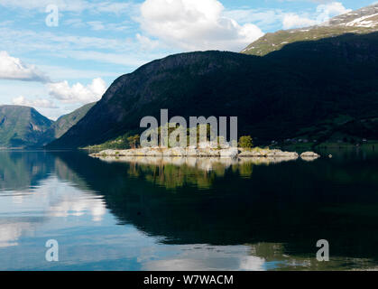 Paesaggio del fiordo, la parte interna del fiordo di Sogne con Skjolden all'estrema sinistra, Norvegia, Giugno. Foto Stock