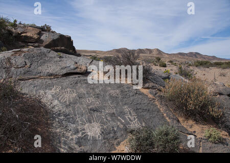 Petroglifi nero su roccia dolomitica, Richterveld Parco nazionale e sito del Patrimonio Mondiale, Northern Cape, Sud Africa, Agosto 2011. Foto Stock