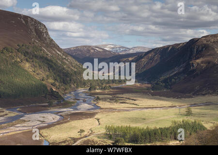 Glenfeshie superiore nel tardo inverno, Cairngorms National Park, Scozia, maggio 2013. Foto Stock