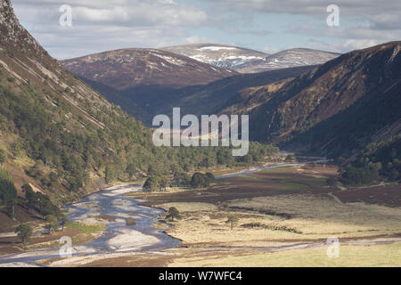 Glenfeshie superiore nel tardo inverno, Cairngorms National Park, Scozia, maggio 2013. Foto Stock