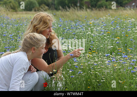 Madre e figlia osservando Red tailed bumblebee (Bombus lapidarius) in volo tra fiori di AT &#39;Bee mondo&#39;, Vescovo&#39;s prato, Farnham. Surrey, Inghilterra, Regno Unito, luglio 2014. Composito Digitale. Modello rilasciato. Bee mondi è un'iniziativa di Amici della Terra. Foto Stock