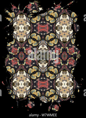 Caleidoscopio configurazione formata dalla foto di rinoceronte viper (Bitis nasicornis scale). Limitata per uso editoriale fino a dicembre 2015 Foto Stock