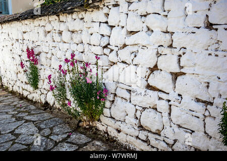 Dipinto di bianco parete esterna con fiore rosa fiori, street view, Ioannina isola sul lago Pamvotida vicino alla splendida isola piccola vicino al traino greci Foto Stock