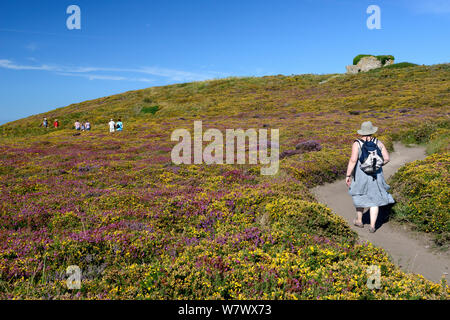 Gli escursionisti nella brughiera, Cap Frehel, Bretagna/ Bretagne, Francia, Agosto 2012. Foto Stock