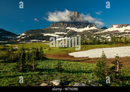 Nuvole attorno cima di Mount Reynolds sopra distante un branco di pecore bighorn (Ovis canadensis) in prato alpino. Logan pass, il Parco Nazionale di Glacier, montagne rocciose, Montana, luglio 2010. Foto Stock