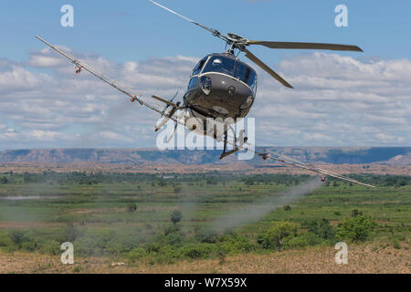 Elicottero spruzzando insetticidi, Cibo ed Organizzazione di Agricoltura (FAO) locust operazione di controllo. Vicino a Miandrivazo, Madagascar Dicembre 2013. Foto Stock