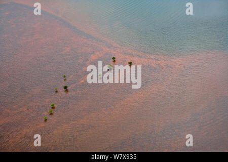 Vista aerea di mangrovie in laguna, Nuova Caledonia. Oceano Pacifico. Foto Stock