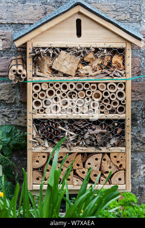 Man-made &#39;hotel insetto&#39; l'offerta di nidificazione artificiali strutture per le api solitarie e cavità per ibernazione coccinelle e farfalle. Foto Stock