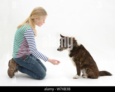 La ragazza che offre ad agitare le mani con mongrel cane. Modello rilasciato Foto Stock