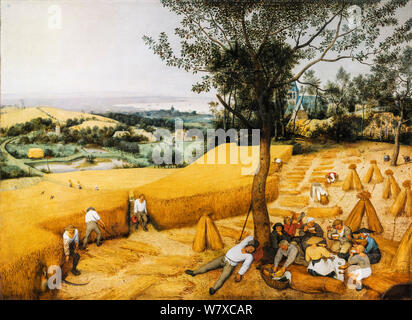 Pieter Bruegel il Vecchio, pittura, mietitrici, 1565 Foto Stock