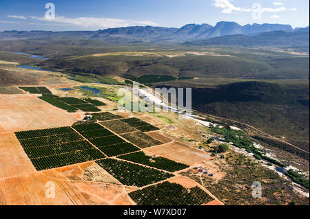 Fotografia aerea della Olifants River e l'agricoltura intensiva lungo il suo corso, una minaccia per le specie di pesci endemici trovato qui. Citrusdal e area Clanwilliam, Western Cape, Sud Africa. Dicembre 2013. Foto Stock