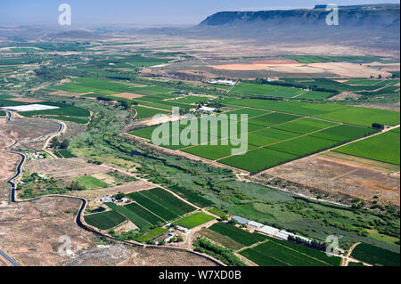 Fotografia aerea della Olifants River e l'agricoltura intensiva lungo il suo corso, una minaccia per le specie di pesci endemici trovato qui. Citrusdal e area Clanwilliam, Western Cape, Sud Africa. Dicembre 2013. Foto Stock