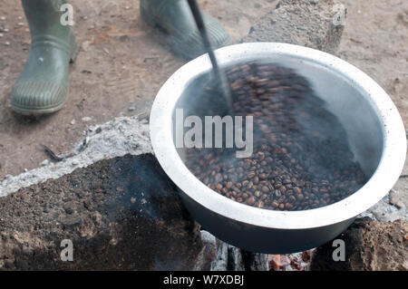 Il caffè (Coffea arabica) Fagioli tostatura su un fuoco, Tanzania Africa Orientale. Foto Stock