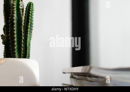 Cactus verde in bianco vaso sul tavolo di legno vista laterale Foto Stock