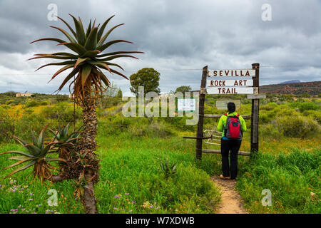 Escursionista in Sevilla Bushman Arte Rock Trail, Clanwilliam, montagne Cederberg, provincia del Capo Occidentale, Sud Africa, settembre 2012. Foto Stock