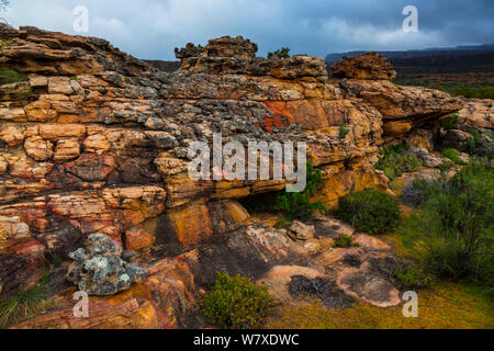 Rocce esposte faccia in Sevilla Bushman Arte Rock Trail, Clanwilliam, montagne Cederberg, provincia del Capo Occidentale, Sud Africa, settembre 2012. Foto Stock