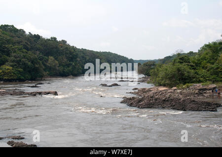 L Ituri fiume, vicino Bomili village, con persone bucato sul lato destro, foresta di Ituri, nella Repubblica democratica del Congo, dicembre 2011. Foto Stock