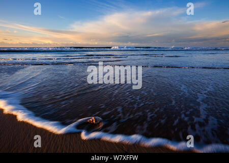 Spiaggia nella luce del mattino. Kenton sul mare, Capo orientale del Sud Africa. Maggio 2009. Non-ex. Foto Stock